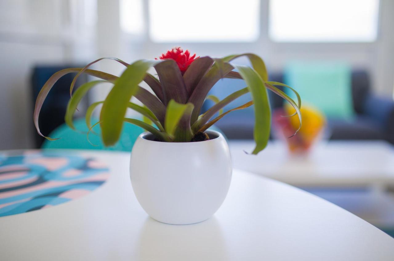 Arinaga Colors, Tu Casa En La Playa Apartment Ngoại thất bức ảnh